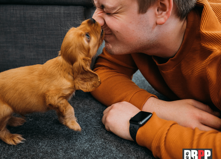 How do you handle a Puppy that bites?